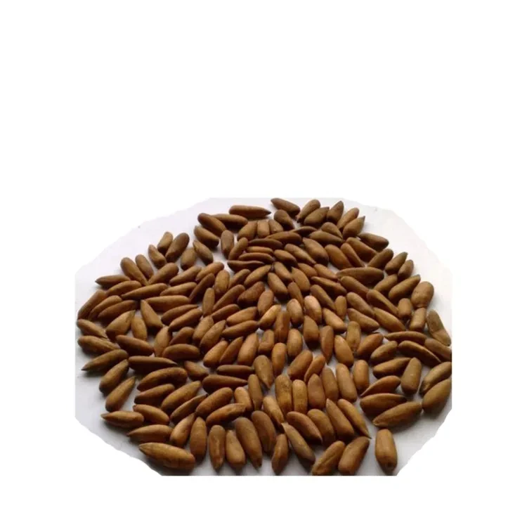 Pine Nut (Chilgoza)250g