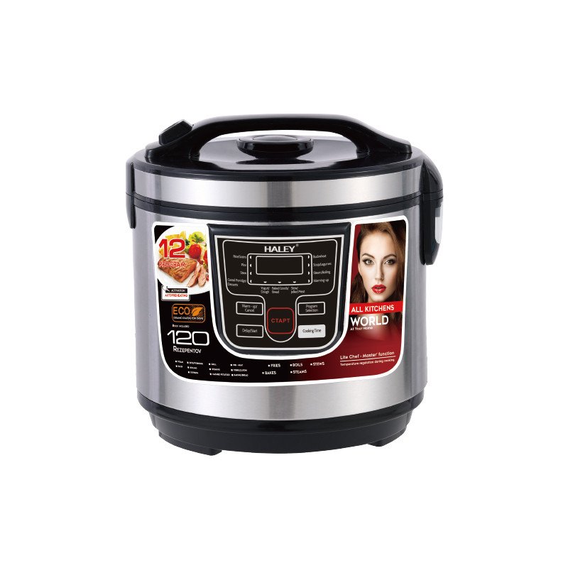HALEY 900W 6L Smart Automatic Temperature-Controlled Insulation Multifunctional Electric Rice Cooker Healthy Iron Household